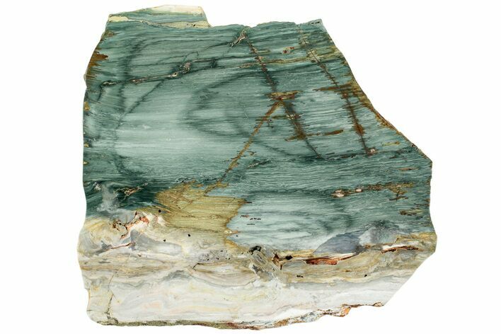 Gary Green Jasper (Larsonite) Bog Wood Slab - Oregon #227914